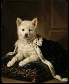 Portret pupila w stylu renesansowym – personalizowany obraz psa lub kota lub innego pupuila